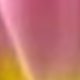 彩色