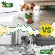 Dog Chew Toys Dog Toothbrush Stick Teeth Cleaning Brush Dental For Medium Large Dog, Puppy Christmas Easter Birthday Gifts, Outdoor Squeaky Toys For Aggressive Chewers Interactive Tough Toys - 綠色 - 查看 10
