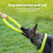 XL Large Indestructible Dog Toys, Dog Chew Toys For Aggressive Chewers,Flying Discs For Medium/Large Breeds. Floating Dog Ring Toys For Throwing, Catching, Grabbing. (12 Inch) - 大號綠色 - 查看 4