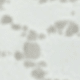 trắng