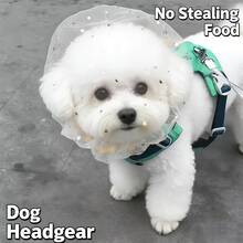 弹性透气犬用口罩，适用于中小型犬，可爱又实用，防止狗狗误吞，户外防蚊虫叮咬，适合博美犬、比熊犬等中小型犬，避免宠物舔舐。 - 彩色 - 查看 1