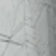 trắng