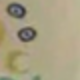 杏色