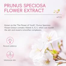 Bộ sản phẩm chăm sóc da Sakura Collagen 6 món, bộ dưỡng ẩm và nuôi dưỡng da mặt gồm sữa rửa mặt, toner, serum, kem dưỡng và kem dưỡng mắt, chăm sóc da hàng ngày, bộ quà tặng du lịch cho phụ nữ, chăm sóc sắc đẹp tự nhiên kiểu SPA. - Hoa anh đào - Xem 6