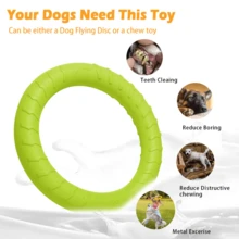 XL Large Indestructible Dog Toys, Dog Chew Toys For Aggressive Chewers,Flying Discs For Medium/Large Breeds. Floating Dog Ring Toys For Throwing, Catching, Grabbing. (12 Inch) - 大號綠色 - 查看 2
