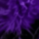 Màu tím  Violet