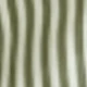 Green and White Stripes