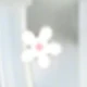 彩色