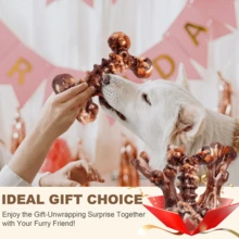 Indestructible Dog Toys For Aggressive Chewers: 3-Pack Bacon Flavored Hard Nylon Dog Chew Toys For Medium & Large Dogs(25-90lbs), Tough Super Chewer Dog Bones Toys To Keep Them Busy, Brown - 6片裝棕色培根 - 查看 9