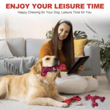 Indestructible Dog Toys For Aggressive Chewers: 3-Pack Bacon Flavored Hard Nylon Dog Chew Toys For Medium & Large Dogs(25-90lbs), Tough Super Chewer Dog Bones Toys To Keep Them Busy, Brown - 3塊紅牛肉 - 查看 6