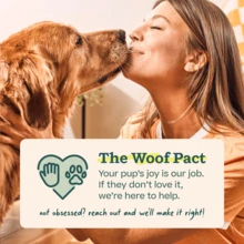 Power Chewer Pupsicle - Durable, Long-Lasting Dog Chew Toys For Aggressive Chewers - Keep Your Pup Busy - Easy To Clean - Toys For Medium And Large Dogs 25-75 Lbs - Lớn - Xem 7