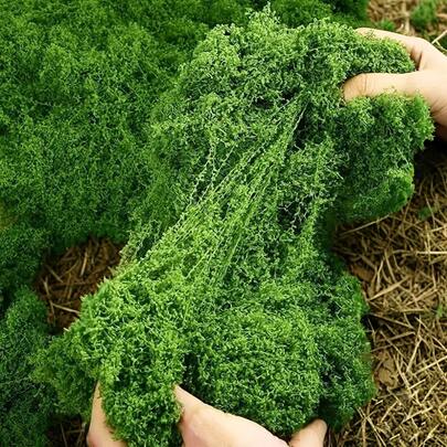 30g/100g/200g/500g Green Simulated Moss, Forest Color Silky Artificial Grass For Landscape Making, Mural Art, Easter, Artificial Green Plant Decoration, Any Diy Crafts