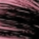 الأسود