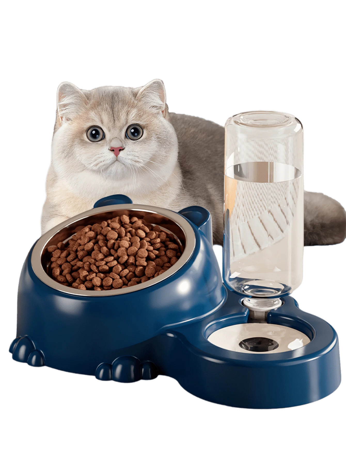 宠物用品,双层不锈钢宠物碗,自动饮水器,大容量食碗,猫狗喂食碗 - 500ml - 查看 1