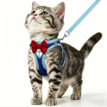 Cat Leash Set, Soft Breathable Vest With Reflective Strip, Escape-Proof Cat Harness, Suitable For Walking Cats And Outdoor Activities, Pet Vest Leash - Multicolor - View 2