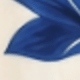彩色