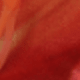 66253 Naranja