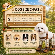 四季皆宜的小型犬户外防护连体衣 | 卡通条纹围兜裤+防滑爪套一体式连体衣，专为超小型/小型犬设计，具备三重防护功能，防潮、防滑、防污；可爱的条纹图案搭配可调节围兜设计，穿着舒适，活动自如。适合体重2-7.5公斤的小型犬（例如贵宾犬、比熊犬、约克夏梗犬等），不适合中大型犬或长背短腿犬。 - 駝色 - 查看 8