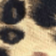 彩色