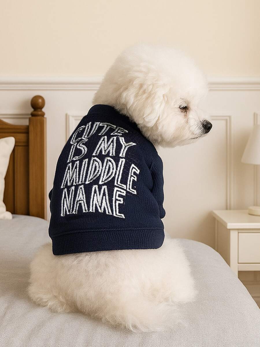 1 pieza Ropa para mascotas, Ropa linda para perros/gatos pequeños, Serie de sudaderas cómodas, Adecuada para primavera y otoño - Multicolor - Ver 1