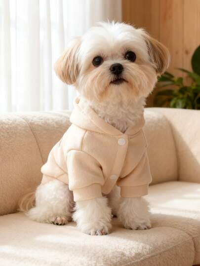 1件宠物衣服，犬猫服装，小型犬舒适卫衣，适合春秋季穿着