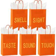 5-Senses 礼品袋，男女皆宜，内含 5 张薄纸，带提手纸袋，5 Senses 礼品，适合情人节、圣诞节、生日、结婚纪念日（黑色，8.3 x 4.3 x 10.6 英寸） - 查看 15