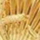 Nhiều màu