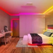 智慧臥室 LED 燈條 RGB 燈帶,App 與遙控控制,音樂同步,定時功能,適用客廳、房間裝飾,生日禮物、節日與婚禮裝飾 - 彩色 - 查看 10