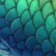 美人魚