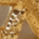 estrella de mar