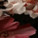 Nhiều màu