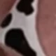 彩色