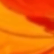 Chậu cây thần tiên