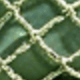 màu xanh lá