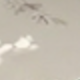 彩色