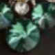 màu xanh lá