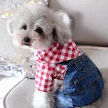 Bộ quần áo bốn chân kẻ sọc cho thú cưng, kiểu quần yếm denim, trang phục mùa xuân/hè cho thú cưng. - Màu Hoa hồng đỏ - Xem 5