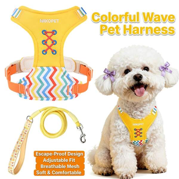 Cute Dog Harness And Leash Set - Adorable Rainbow Zigzag & Criss-Cross Lace-Up Design, Escape-Proof Breathable Mesh Vest With Matching Lead, Soft Padded No-Pull Step-In Walking Gear For Small Medium Puppies, Chihuahua Yorkie Pomeranian Beagle
