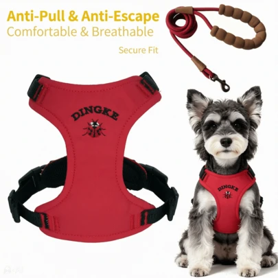 Chic Embroidered Dog Harness And Leash Set - No-Pull Breathable Mesh Vest With 4 Adjustable Buckles, Escape-Proof Step-In Design, Soft Padded Handle For Small To Medium Dogs & Cats, Stylish & For Walking