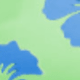 彩色