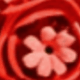 彩色