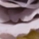 紫色