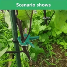 60個頂級綠色園藝夾,耐用防鏽防水植物支撐夾,適用於番茄、花卉、藤蔓及其他攀緣植物與蔬菜栽培,亦可作為懸掛植物支撐、園藝裝飾、園藝工具與園藝配件 - 多色 - 查看 5