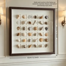 1 pièce d'art de luxe en coquillage, convient pour la décoration de la maison, le bureau de la chambre à coucher, la décoration murale, la collection de coquillages, un excellent choix de cadeau - coquille - Voir 2