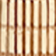 斑點四件套