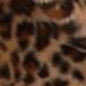 Two-tone Leopard Print