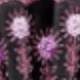 Embroidery