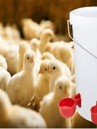 Automatic Chicken Drinker, Complete With Electric Drill, Poultry Drinker Set, Suitable For Chickens, Ducks, Geese, Turkeys, And Pigeons.
