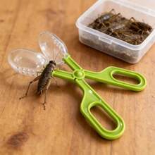 Multi-Color Reptile Feeding & Cleaning Tongs, Ergonomic Handle Design, Versatile Feeding And Enclosure Cleaning Tool For Lizards, Bearded Dragons, Snakes, Geckos And Other Reptile Pets, Reptile Care Essential - Feces Clamp/feeder - View 6