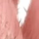 Light Reddish Brown